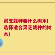 灵芝栽种要什么树木(选择适合灵芝栽种的树木)