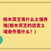 椴木灵芝用什么土壤养殖(椴木灵芝的适宜土壤条件是什么？)