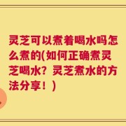 灵芝可以煮着喝水吗怎么煮的(如何正确煮灵芝喝水？灵芝煮水的方法分享！)