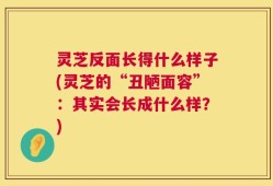 灵芝反面长得什么样子(灵芝的“丑陋面容”：其实会长成什么样？)