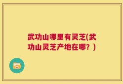 武功山哪里有灵芝(武功山灵芝产地在哪？)