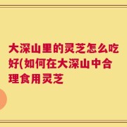 大深山里的灵芝怎么吃好(如何在大深山中合理食用灵芝