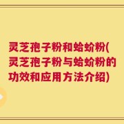 灵芝孢子粉和蛤蚧粉(灵芝孢子粉与蛤蚧粉的功效和应用方法介绍)