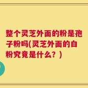 整个灵芝外面的粉是孢子粉吗(灵芝外面的白粉究竟是什么？)