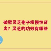 破壁灵芝孢子粉慢性肾炎？灵芝的功效有哪些