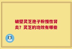 破壁灵芝孢子粉慢性肾炎？灵芝的功效有哪些