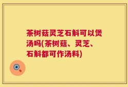 茶树菇灵芝石斛可以煲汤吗(茶树菇、灵芝、石斛都可作汤料)