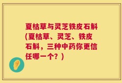 夏枯草与灵芝铁皮石斛(夏枯草、灵芝、铁皮石斛，三种中药你更信任哪一个？)