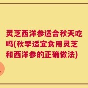灵芝西洋参适合秋天吃吗(秋季适宜食用灵芝和西洋参的正确做法)