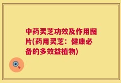 中药灵芝功效及作用图片(药用灵芝：健康必备的多效益植物)