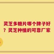 灵芝多糖片哪个牌子好？灵芝种植的可靠厂家