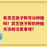 有灵芝孢子粉可以种植吗？灵芝孢子粉的种植方法和注意事项？