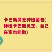 卡巴斯灵芝种植菌包(种植卡巴斯灵芝，自己在家也能做)