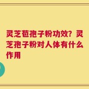 灵芝苞孢子粉功效？灵芝孢子粉对人体有什么作用
