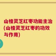 山楂灵芝红枣功能主治(山楂灵芝红枣的功效与作用)