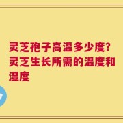 灵芝孢子高温多少度？灵芝生长所需的温度和湿度