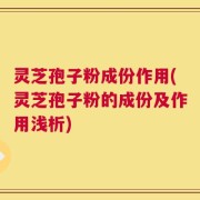 灵芝孢子粉成份作用(灵芝孢子粉的成份及作用浅析)