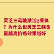 灵芝三萜酸激活g受体？为什么说灵芝三萜含量越高抗癌效果越好