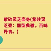 紫砂灵芝壶身(紫砂灵芝壶：器型典雅，百味丹青。)