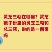 灵芝三萜在哪里？灵芝孢子粉里的灵芝三萜和总三萜，说的是一回事吗