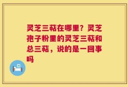 灵芝三萜在哪里？灵芝孢子粉里的灵芝三萜和总三萜，说的是一回事吗
