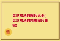 灵芝鸡汤的图片大全(灵芝鸡汤的精美图片集锦)