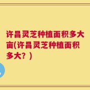 许昌灵芝种植面积多大亩(许昌灵芝种植面积多大？)