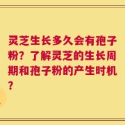 灵芝生长多久会有孢子粉？了解灵芝的生长周期和孢子粉的产生时机？
