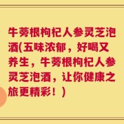 牛蒡根枸杞人参灵芝泡酒(五味浓郁，好喝又养生，牛蒡根枸杞人参灵芝泡酒，让你健康之旅更精彩！)