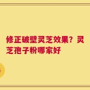 修正破壁灵芝效果？灵芝孢子粉哪家好