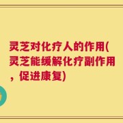 灵芝对化疗人的作用(灵芝能缓解化疗副作用，促进康复)