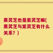 黑灵芝也是紫灵芝嘛(黑灵芝与紫灵芝有什么关系？)