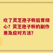 吃了灵芝孢子粉后胃烧心？灵芝孢子粉的副作用及应对方法？