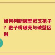 如何判断破壁灵芝孢子？孢子粉破壳与破壁区别