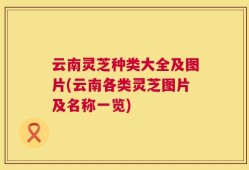 云南灵芝种类大全及图片(云南各类灵芝图片及名称一览)