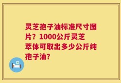 灵芝孢子油标准尺寸图片？1000公斤灵芝萃体可取出多少公斤纯孢子油？