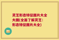 灵芝形态特征图片大全大图(全面了解灵芝：形态特征图片大全)