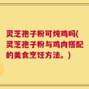 灵芝孢子粉可炖鸡吗(灵芝孢子粉与鸡肉搭配的美食烹饪方法。)
