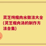 灵芝炖瘦肉水做法大全(灵芝瘦肉汤的制作方法合集)