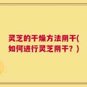 灵芝的干燥方法阴干(如何进行灵芝阴干？)