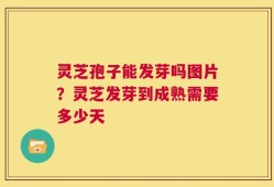 灵芝孢子能发芽吗图片？灵芝发芽到成熟需要多少天