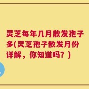 灵芝每年几月散发孢子多(灵芝孢子散发月份详解，你知道吗？)