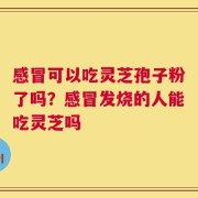 感冒可以吃灵芝孢子粉了吗？感冒发烧的人能吃灵芝吗