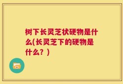 树下长灵芝状硬物是什么(长灵芝下的硬物是什么？)