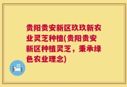 贵阳贵安新区玖玖新农业灵芝种植(贵阳贵安新区种植灵芝，秉承绿色农业理念)