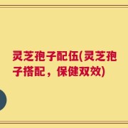 灵芝孢子配伍(灵芝孢子搭配，保健双效)