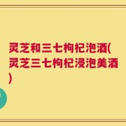 灵芝和三七枸杞泡酒(灵芝三七枸杞浸泡美酒)
