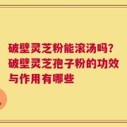 破壁灵芝粉能滚汤吗？破壁灵芝孢子粉的功效与作用有哪些