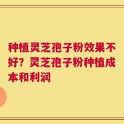 种植灵芝孢子粉效果不好？灵芝孢子粉种植成本和利润