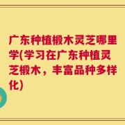 广东种植椴木灵芝哪里学(学习在广东种植灵芝椴木，丰富品种多样化)
